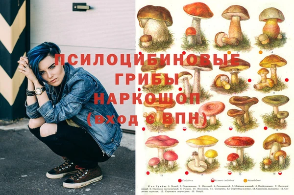 а пвп мука Балахна